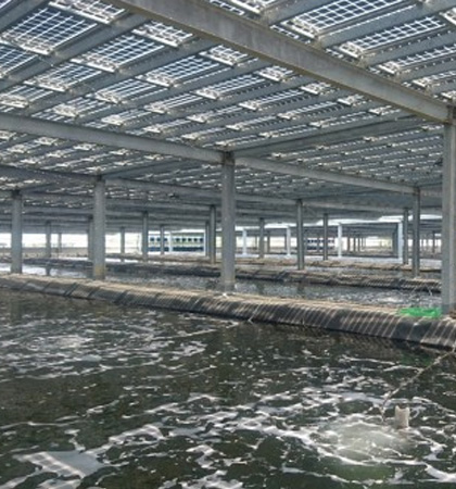 全台最大漁電共生室內養殖場今啟用