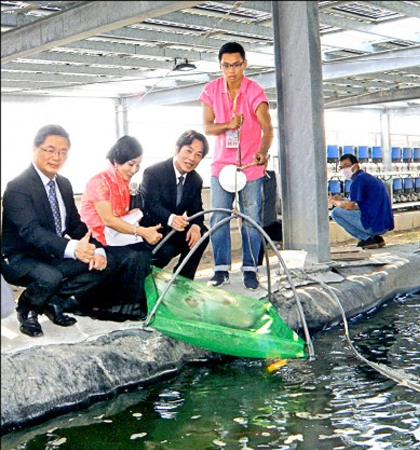 全國最大漁電共生養殖場 學甲筏子頭啟用